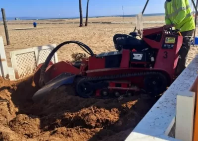 Affordable Stump Removal in Van Nuys CA